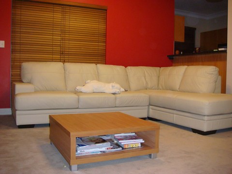 Lounge room after pic 3